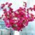 Artificial Bougainvillea Floral Stems Fushia Mixed